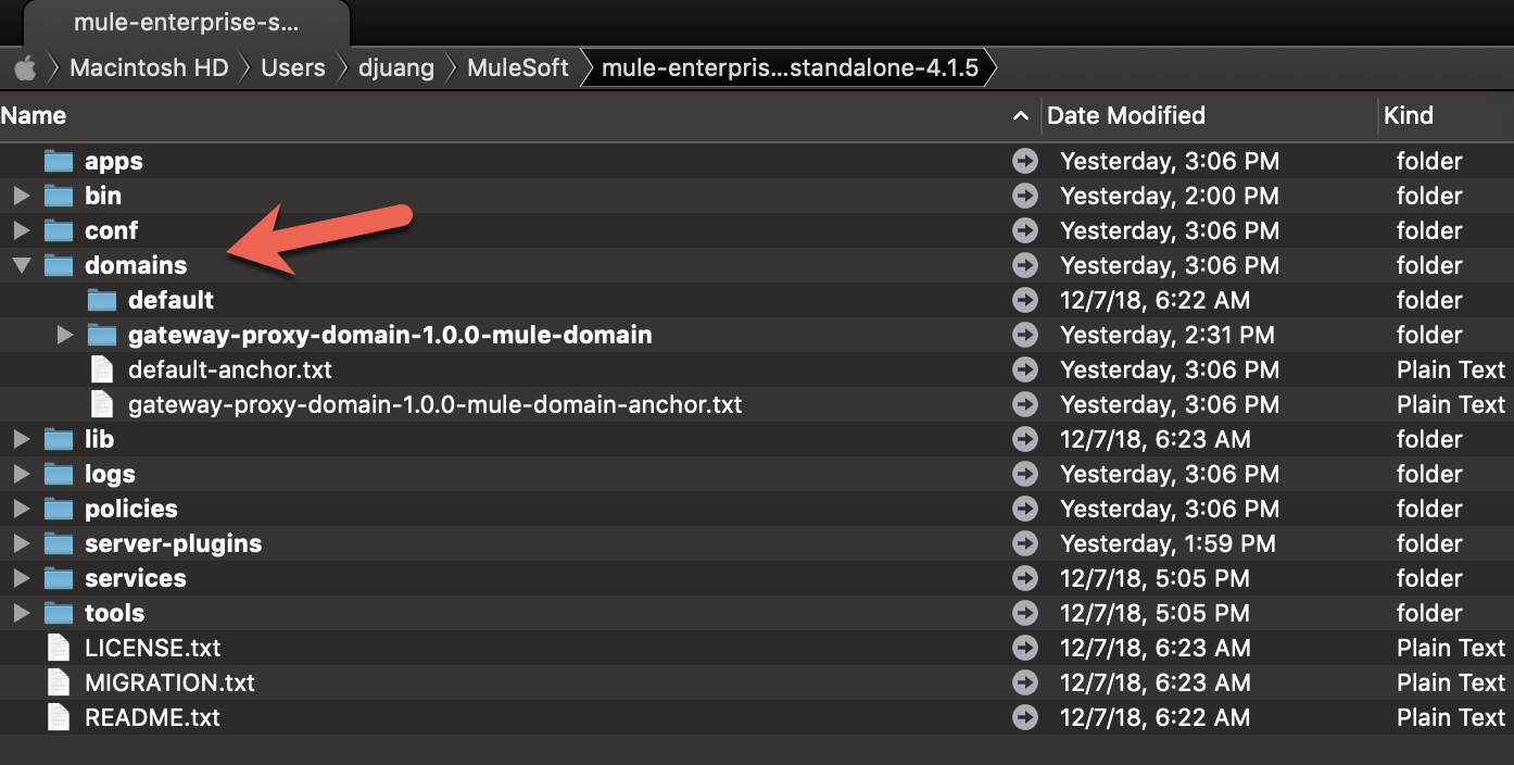 Setup MuleSoft API Proxy with Domains – dejim.com